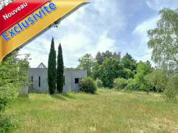 Loft à vendre entre Moulins et Saint-Pourçain 03 Allier, viager occupé au milieu des vignes. 230 m² de plain-pied dans parc d’1,6 ha, vue sur le Val d’Allier
